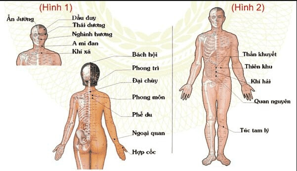Những điều cần biết về hệ thống huyệt đạo trên cơ thể