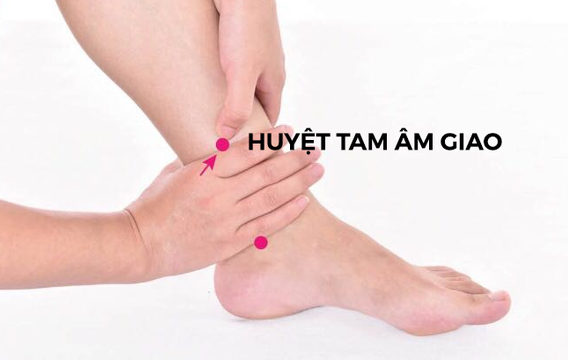 Vì sao huyệt vị Tam âm giao lại được gọi là “tài sản vô giá” ?
